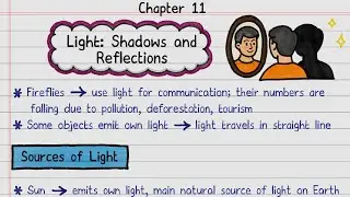 📝FREE Notes | Light: Shadows and Reflections | Class 7 Science | NCERT | Self-Study Notes