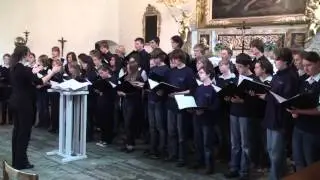 Junger Chor Achern Fautenbach, Deutschland. IV. Stockholm 2009.