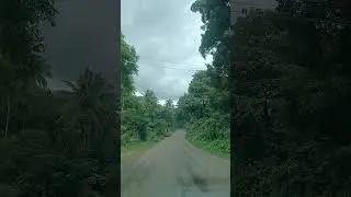 #ontheway to #athirappally #2024 #travel #kerala #palakad #southindia #india #hillroad #nature #vlog