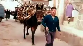 1981 La cuenca del río Mundo - Nacimiento - Pueblos - Riópar, Ayna, Liétor - Pinturas rupestres
