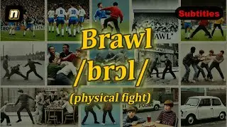 [n] Brawl meaning (physical fight) with 5 examples