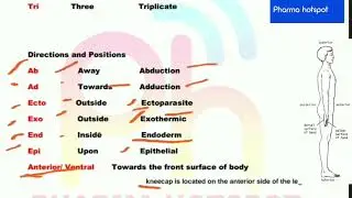 Prefix and suffix used in Human anatomy and physiology - Pharmacy lecture 1st year in Hindi