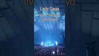 Lady Gaga 