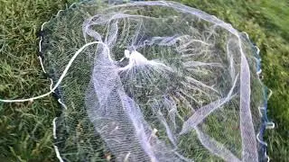 How To Through A Cast Net.