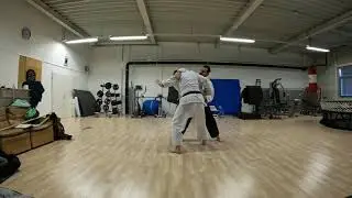Codex Wallerstein (1400s), unarmed combat, piece #1