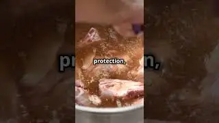 How Homo Erectus Tamed Fire 🔥