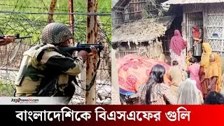চাঁপাইনবাবগঞ্জ সীমান্তে বাংলাদেশিকে বিএসএফের গু*লি | BSF | Chapainawabganj | BGB | Jagonews24.com