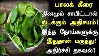 7 Medical Benefits of Palak Keerai | Palak Keerai Health Benefits in Tamil | Spinach Benefits | N...
