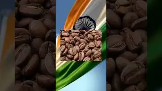 Coffee and Tea Export from India
