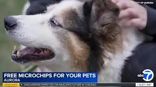 Aurora Animal Care and Control Offers FREE Pet Microchipping Thanks To Grant From Petco Love!
