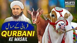 QURBANI MASAIL | Ask Mufti Tariq Masood