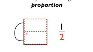 What are fractions? The basics
