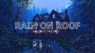 ⛈️ Thunderstorm in the Woods: Rain Sounds for Sleeping Fast