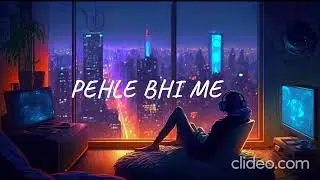 Pehle Bhi Main (Slowed + Reverb) | Vishal Mishra | Animal | Vibe Burner yt