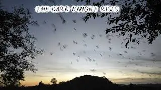 BAT CAVE LOMBOK 