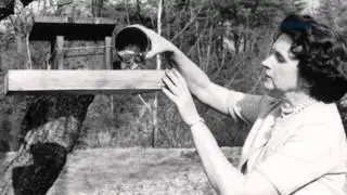 Rachel Carson pionera de la sustentabilidad en el mundo - Dr. Héctor Velázquez
