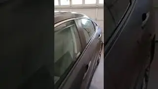 stilll detailing like I used to for teph seal all day