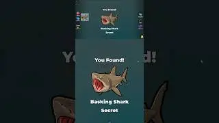 How to get Basking Shark (Secret) Roblox Find the Fish