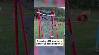 Navigating a ball through an obstacle course 🔥 (via @jonnycakes12/TT)