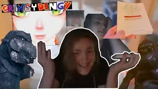 Ein Grundgesetz f&uuml;r alle? | cRINGYDinGY #sechxzen *whyyydieee edn*