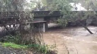Sonoma Creek in Glen Ellen, CA almost at flood stage 12/11/2014