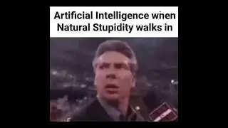 Artficial intelligence VS Natural Stupidity