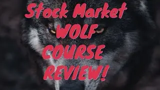 Stock Market Wolf Course Review
