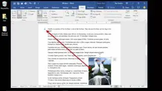 42. Explaining the Anchor