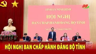 Hội nghị Ban Chấp hành Đảng bộ tỉnh - 16/1/2026