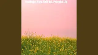 Aesthetic, Vlog, Chill Out, Peaceful Life