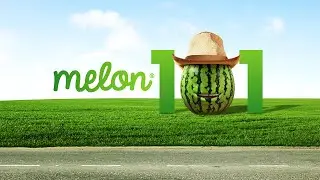 Melon Mobile Overview