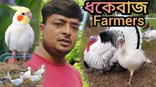 Bird farming in Assam // fancy Bird farming // Poultry farm in Assam // fancy chicken farming Assam