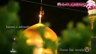 Ya imam e raza | heart touching noha | mir Hasan mir | noha WhatsApp status| by kaneez_e_sakina92