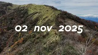 02 nov 2025 / autumn in the mountains / tanzawa｜丹沢