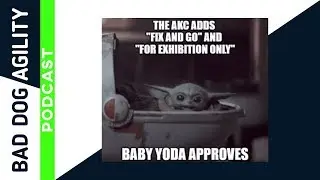 237: AKC 2020 Rule Changes Including Fix and Go and For Exhibition Only