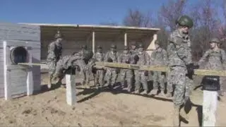 BCT - Teamwork Development Course