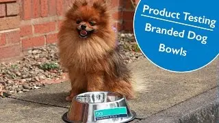 Product Testing: Branded Dog Bowls