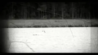 Scott Whyte -  Goodbye Yesterday