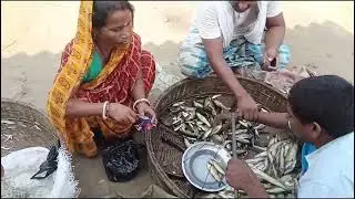 Local Machhali | Local Fish | Machli Mandi | Fish Market | Lokal Fish Market | Local Machhali Mandi 