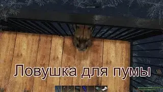 Игра SUBSISTENCE. Ловушка для пумы ... для медведя ... для волка!
