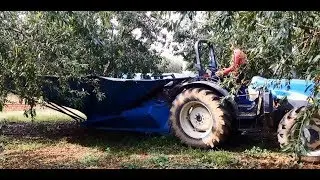 Recolección de almendras mediante paraguas invertido. Crisolar