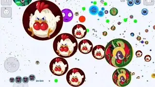 Agar.io Mobile #37