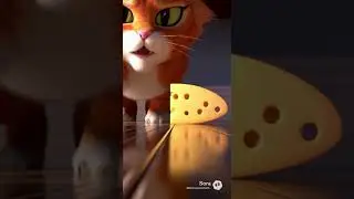 Cat Chase again 😉😁