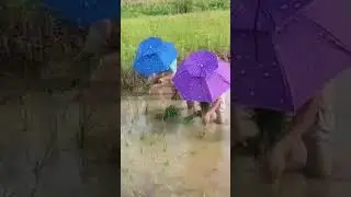Super Smart Hat Umbrella ☔☔☔☔ for 2023