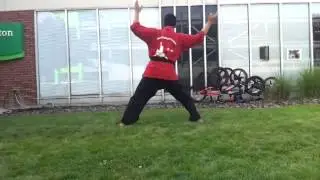 Basic kung fu form II