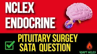 NCLEX Endocrine Review: SATA Practice Question | Pituitary Surgery Post-Op Nursing