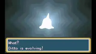 Pok&eacute;mon Ditto Evolve.