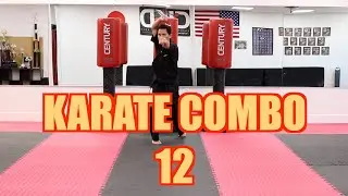 Урок КАРАТЭ 31 &mdash; Каратэ Комбо 12