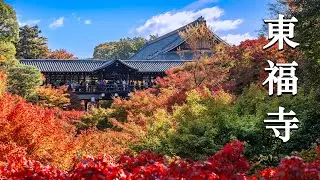 日本 京都紅葉 (Vlog #4) 東福寺 | Beautiful autumn in Tofukuji Temple, Kyoto, Japan #kyotosightseeing