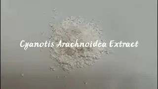 Cyanotis Arachnoides Extract powder by Botanical Cube Inc.